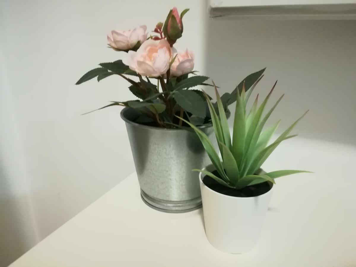 Iris Apartment Pombal  Zewnętrze zdjęcie