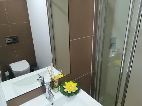 Iris Apartment Pombal  Zewnętrze zdjęcie